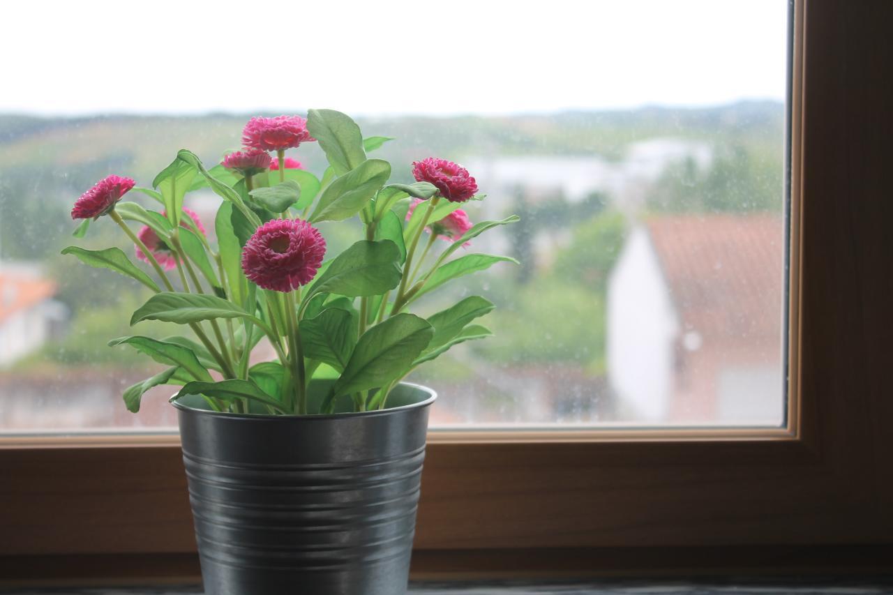 Maria Violeta Tourism Apartment Cadaval Kültér fotó
